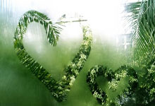 剑灵私服：畅游经典游戏之旅